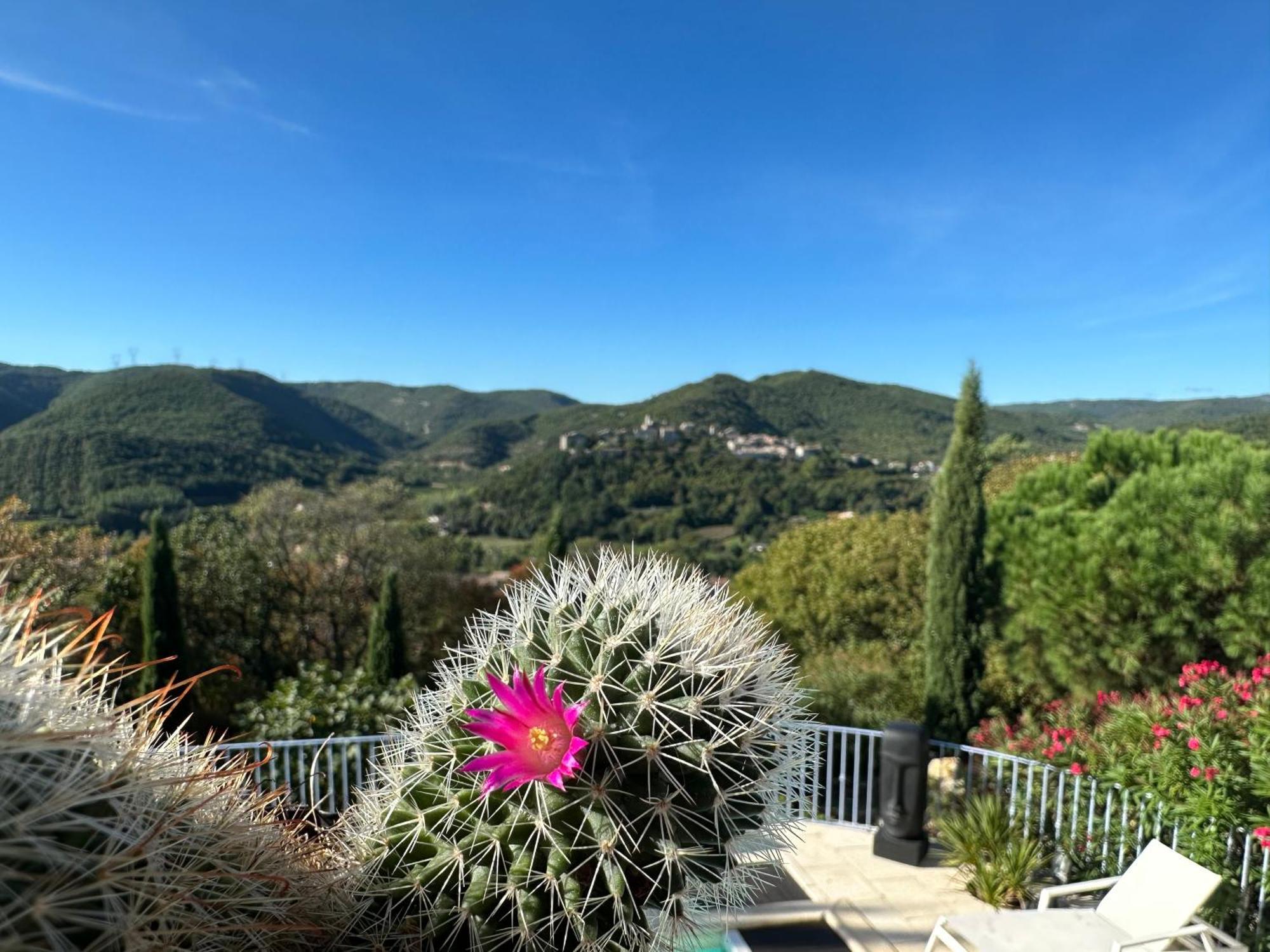 Bastide Saint-Thome Bagian luar foto
